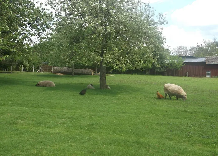 Hotel Saint Martin 2*